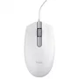 Trust Ratón TM-101W Ambidextro Blanco